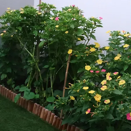 Rez De Jardin Avec Entre La Et Montpellier 10mn *