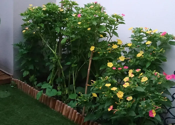 Rez De Jardin Avec Entre La Et Montpellier 10mn *